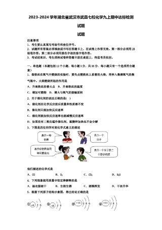 2023-2024学年湖北省武汉市武昌七校化学九上期中达标检测试题含解析.doc