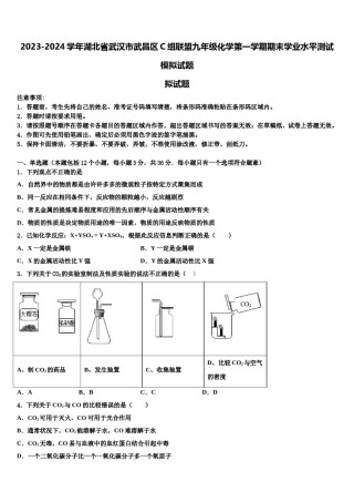 2023-2024学年湖北省武汉市武昌区C组联盟九年级化学第一学期期末学业水平测试模拟试题含解析.doc