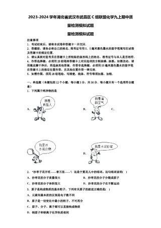 2023-2024学年湖北省武汉市武昌区C组联盟化学九上期中质量检测模拟试题含解析.doc