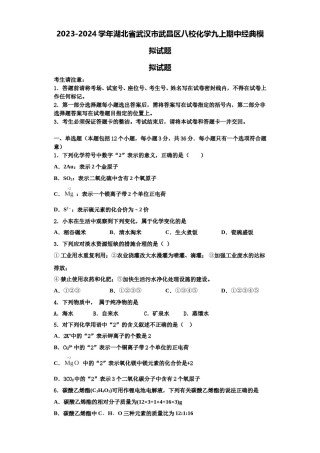 2023-2024学年湖北省武汉市武昌区八校化学九上期中经典模拟试题含解析.doc
