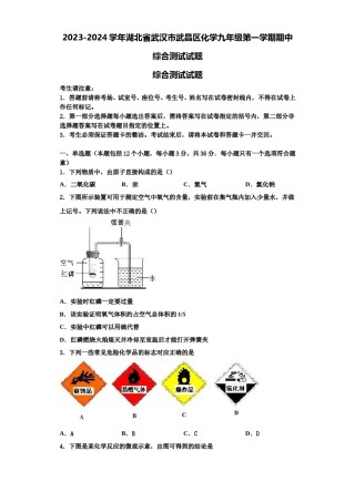 2023-2024学年湖北省武汉市武昌区化学九年级第一学期期中综合测试试题含解析.doc