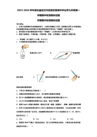 2023-2024学年湖北省武汉市武昌区南湖中学化学九年级第一学期期中检测模拟试题含解析.doc