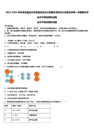 2023-2024学年湖北省武汉市武昌区武汉大附属外语学校九年级化学第一学期期末学业水平测试模拟试题含解析.doc