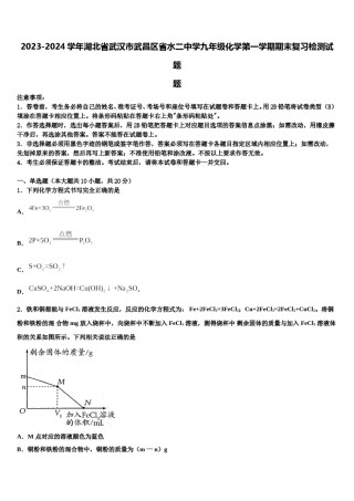 2023-2024学年湖北省武汉市武昌区省水二中学九年级化学第一学期期末复习检测试题含解析.doc