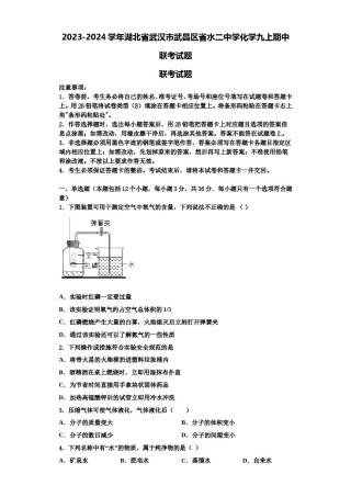 2023-2024学年湖北省武汉市武昌区省水二中学化学九上期中联考试题含解析.doc