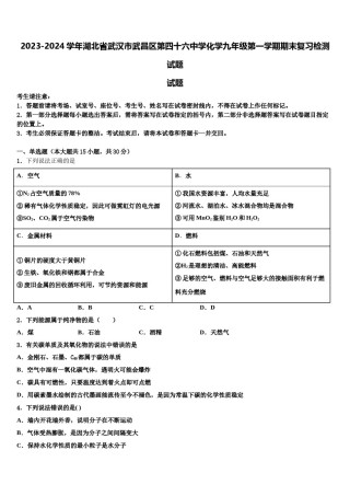 2023-2024学年湖北省武汉市武昌区第四十六中学化学九年级第一学期期末复习检测试题含解析.doc