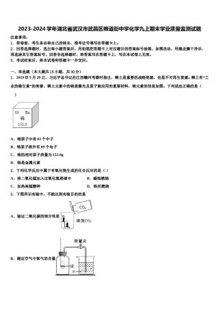 2023-2024学年湖北省武汉市武昌区粮道街中学化学九上期末学业质量监测试题含解析.doc