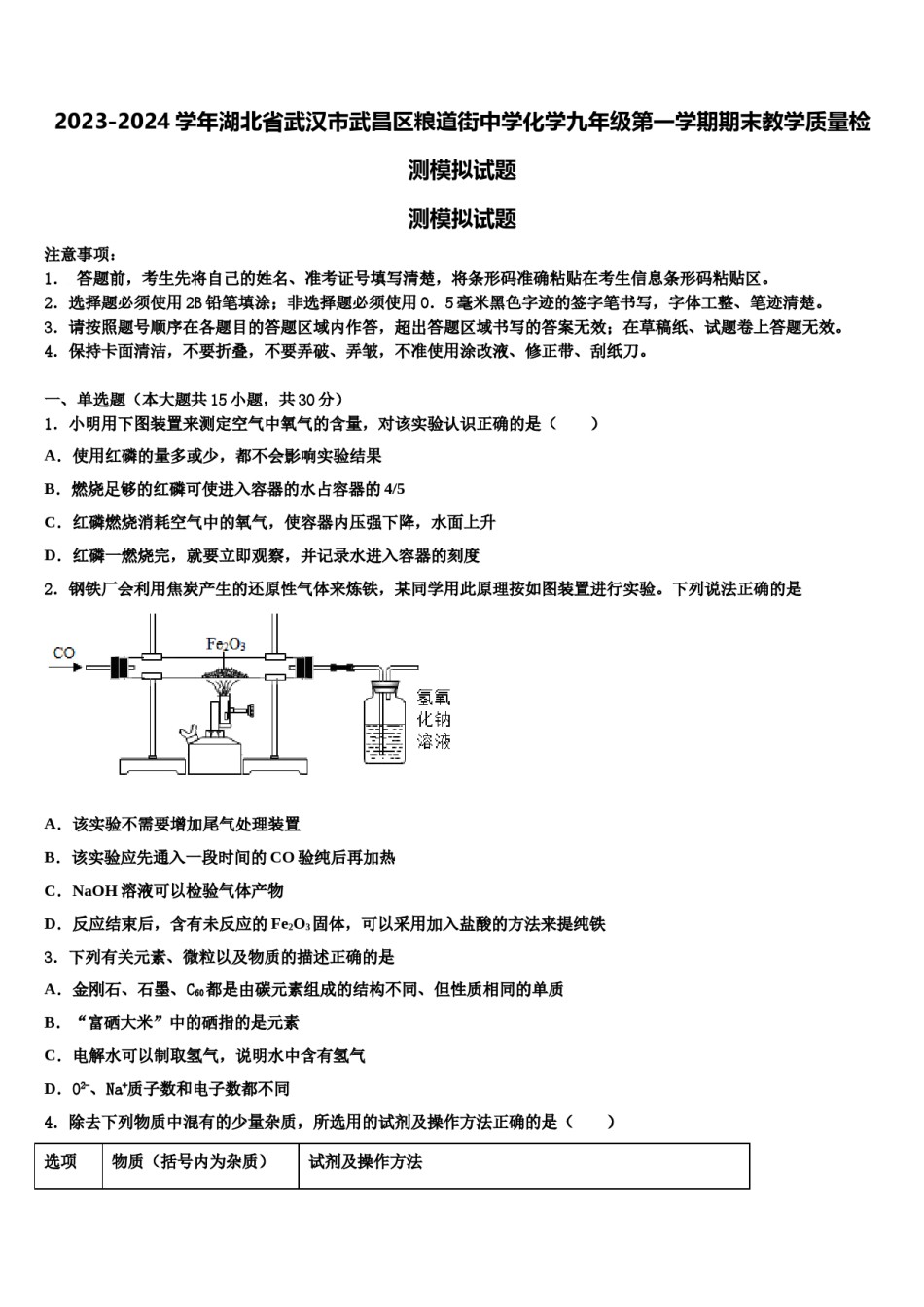 2023-2024学年湖北省武汉市武昌区粮道街中学化学九年级第一学期期末教学质量检测模拟试题含解析.doc_第1页
