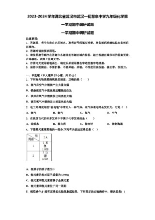 2023-2024学年湖北省武汉市武汉一初慧泉中学九年级化学第一学期期中调研试题含解析.doc