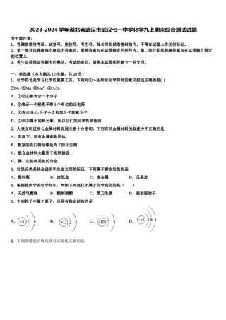 2023-2024学年湖北省武汉市武汉七一中学化学九上期末综合测试试题含解析.doc