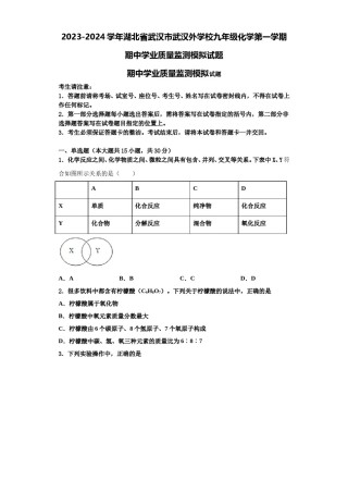 2023-2024学年湖北省武汉市武汉外学校九年级化学第一学期期中学业质量监测模拟试题含解析.doc