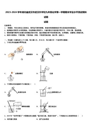 2023-2024学年湖北省武汉市武汉外学校九年级化学第一学期期末学业水平测试模拟试题含解析.doc