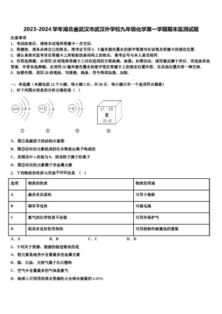 2023-2024学年湖北省武汉市武汉外学校九年级化学第一学期期末监测试题含解析.doc