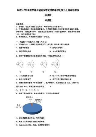 2023-2024学年湖北省武汉市武珞路中学化学九上期中联考模拟试题含解析.doc
