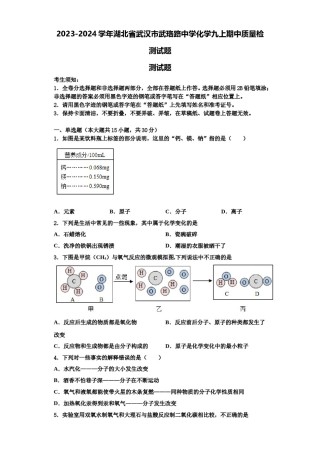2023-2024学年湖北省武汉市武珞路中学化学九上期中质量检测试题含解析.doc