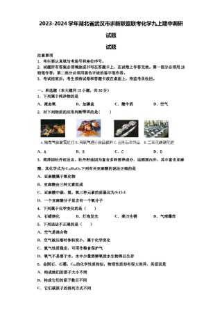 2023-2024学年湖北省武汉市求新联盟联考化学九上期中调研试题含解析.doc
