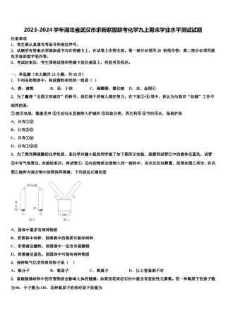 2023-2024学年湖北省武汉市求新联盟联考化学九上期末学业水平测试试题含解析.doc