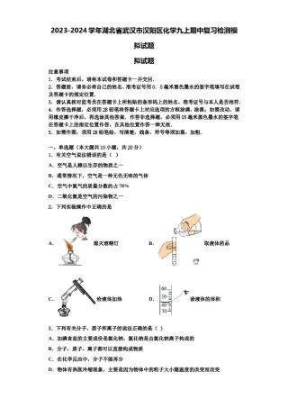 2023-2024学年湖北省武汉市汉阳区化学九上期中复习检测模拟试题含解析.doc