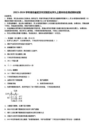 2023-2024学年湖北省武汉市汉阳区化学九上期末综合测试模拟试题含解析.doc