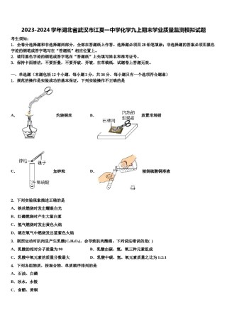 2023-2024学年湖北省武汉市江夏一中学化学九上期末学业质量监测模拟试题含解析.doc