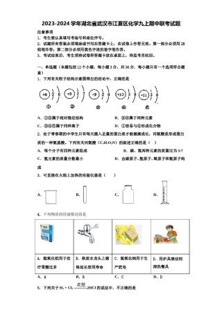 2023-2024学年湖北省武汉市江夏区化学九上期中联考试题含解析.doc