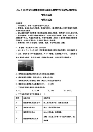 2023-2024学年湖北省武汉市江夏区第六中学化学九上期中统考模拟试题含解析.doc