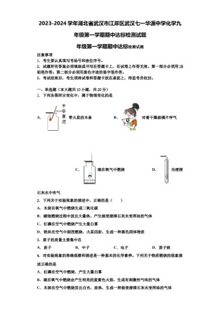 2023-2024学年湖北省武汉市江岸区武汉七一华源中学化学九年级第一学期期中达标检测试题含解析.doc