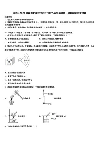 2023-2024学年湖北省武汉市江汉区九年级化学第一学期期末统考试题含解析.doc