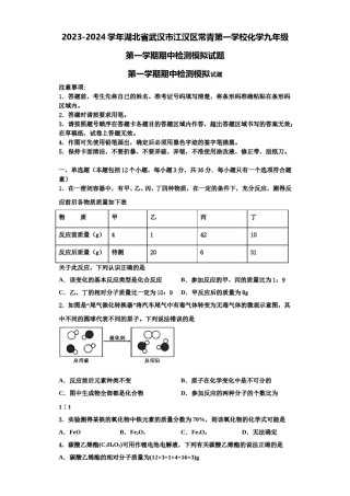 2023-2024学年湖北省武汉市江汉区常青第一学校化学九年级第一学期期中检测模拟试题含解析.doc