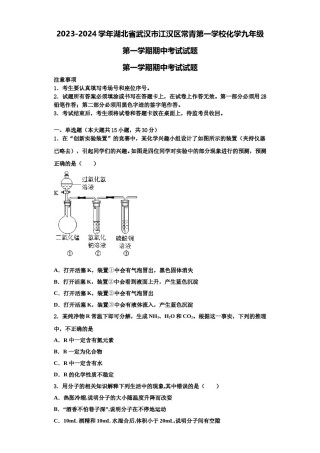 2023-2024学年湖北省武汉市江汉区常青第一学校化学九年级第一学期期中考试试题含解析.doc