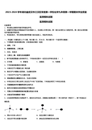2023-2024学年湖北省武汉市江汉区常青第一学校化学九年级第一学期期末学业质量监测模拟试题含解析.doc