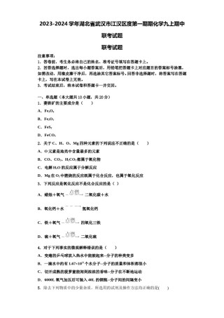 2023-2024学年湖北省武汉市江汉区度第一期期化学九上期中联考试题含解析.doc