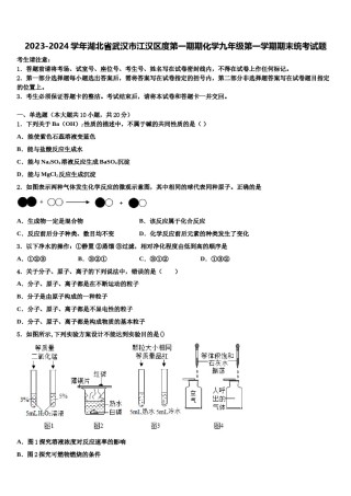 2023-2024学年湖北省武汉市江汉区度第一期期化学九年级第一学期期末统考试题含解析.doc