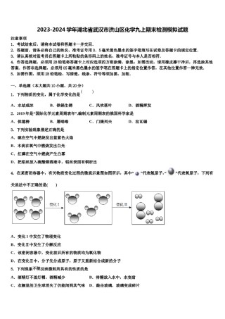 2023-2024学年湖北省武汉市洪山区化学九上期末检测模拟试题含解析.doc