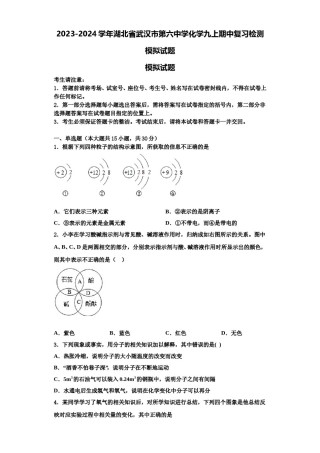 2023-2024学年湖北省武汉市第六中学化学九上期中复习检测模拟试题含解析.doc
