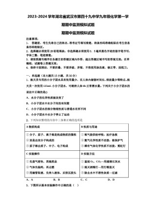 2023-2024学年湖北省武汉市第四十九中学九年级化学第一学期期中监测模拟试题含解析.doc