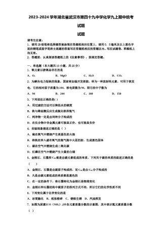 2023-2024学年湖北省武汉市第四十九中学化学九上期中统考试题含解析.doc