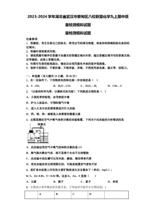 2023-2024学年湖北省武汉市蔡甸区八校联盟化学九上期中质量检测模拟试题含解析.doc
