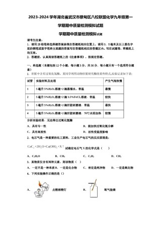 2023-2024学年湖北省武汉市蔡甸区八校联盟化学九年级第一学期期中质量检测模拟试题含解析.doc
