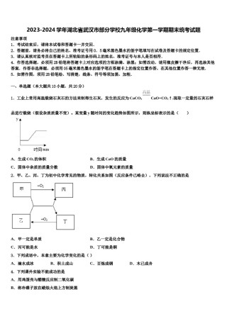 2023-2024学年湖北省武汉市部分学校九年级化学第一学期期末统考试题含解析.doc