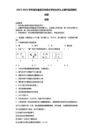 2023-2024学年湖北省武汉市部分学校化学九上期中监测模拟试题含解析.doc