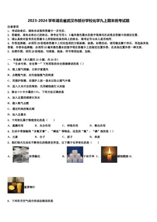 2023-2024学年湖北省武汉市部分学校化学九上期末统考试题含解析.doc