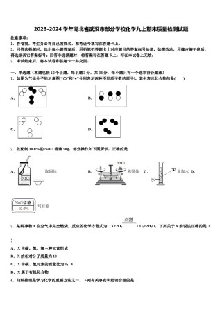 2023-2024学年湖北省武汉市部分学校化学九上期末质量检测试题含解析.doc