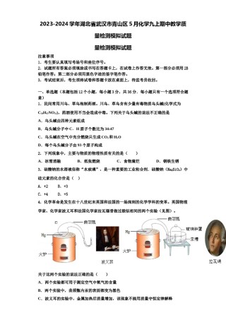 2023-2024学年湖北省武汉市青山区5月化学九上期中教学质量检测模拟试题含解析.doc