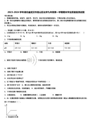 2023-2024学年湖北省武汉市青山区化学九年级第一学期期末学业质量监测试题含解析.doc