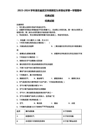 2023-2024学年湖北省武汉市高新区九年级化学第一学期期中经典试题含解析.doc