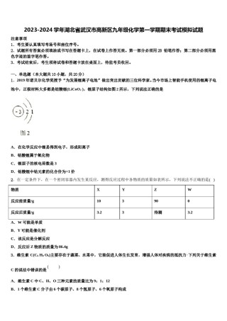 2023-2024学年湖北省武汉市高新区九年级化学第一学期期末考试模拟试题含解析.doc