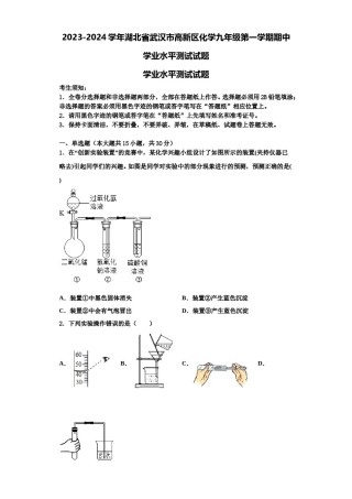 2023-2024学年湖北省武汉市高新区化学九年级第一学期期中学业水平测试试题含解析.doc