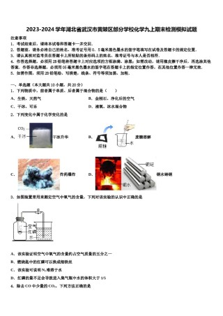 2023-2024学年湖北省武汉市黄陂区部分学校化学九上期末检测模拟试题含解析.doc