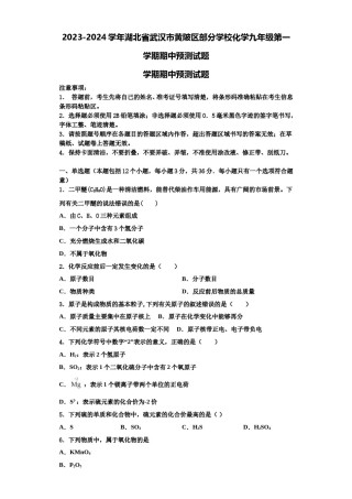 2023-2024学年湖北省武汉市黄陂区部分学校化学九年级第一学期期中预测试题含解析.doc